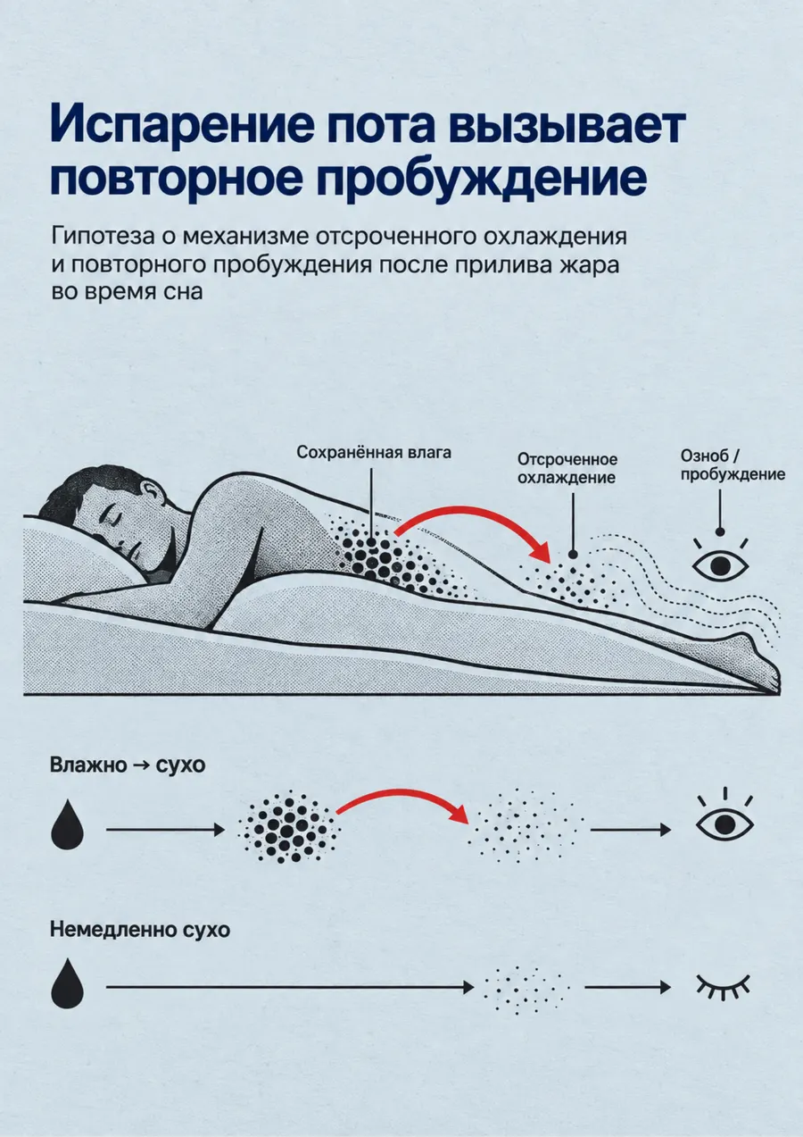 Постер: Испарение пота вызывает повторное пробуждение