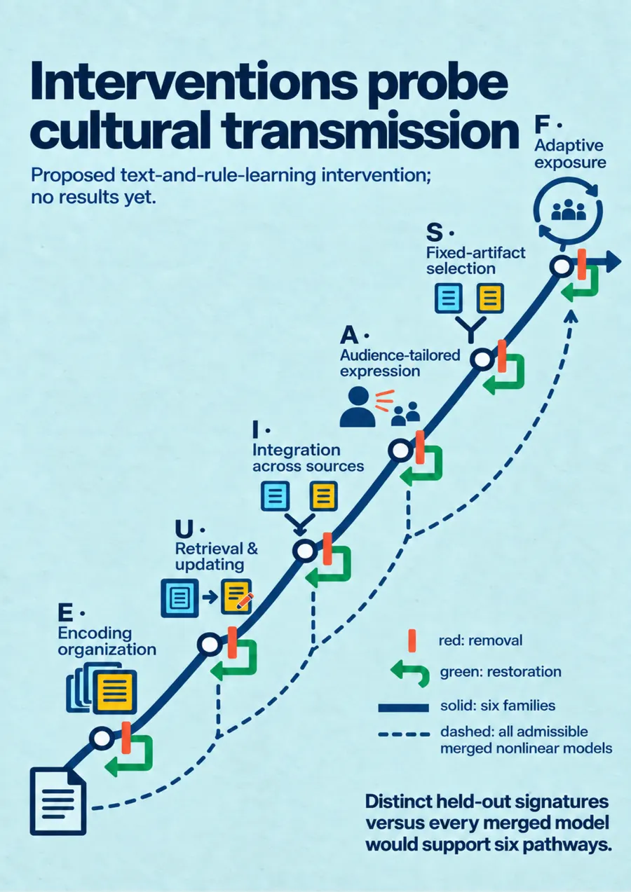 Poster: Interventions probe cultural transmission