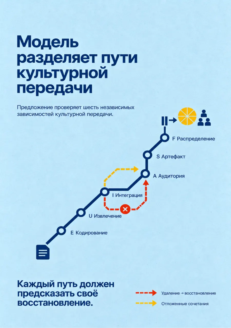 Постер: Модель разделяет пути культурной передачи