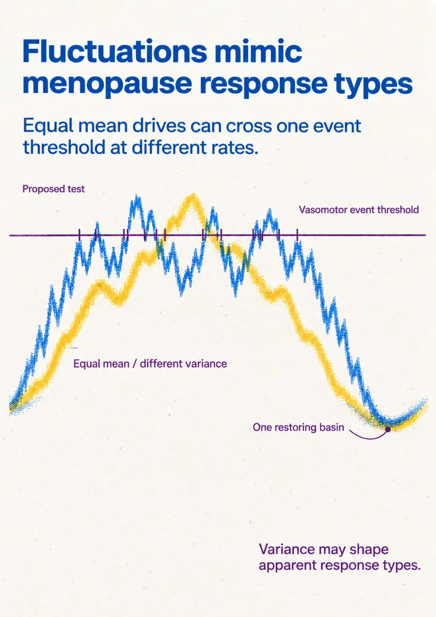 Poster: Fluctuations mimic menopause response types