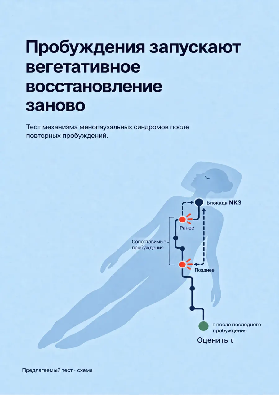 Постер: Пробуждения запускают вегетативное восстановление заново