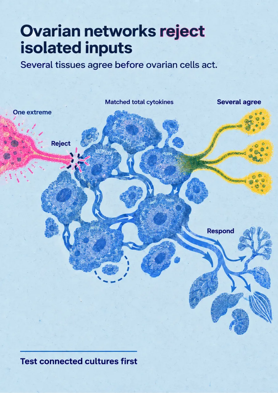 Poster: Ovarian networks reject isolated inputs